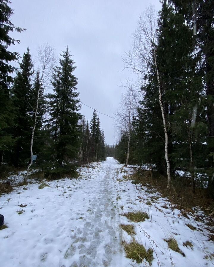 дом г Воркута п Сейда пгт Заполярный фото 1
