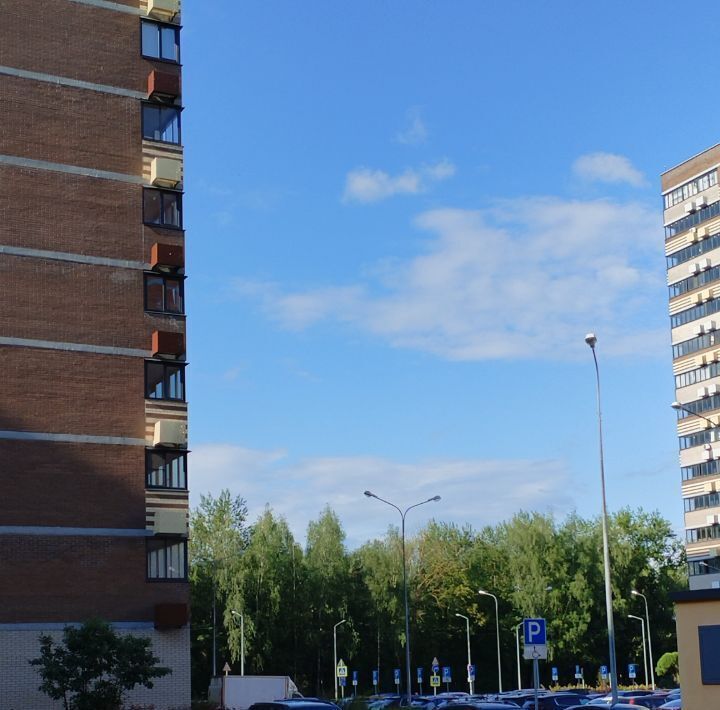 квартира г Пушкино ул Просвещения 12к/2 Новое Пушкино фото 27