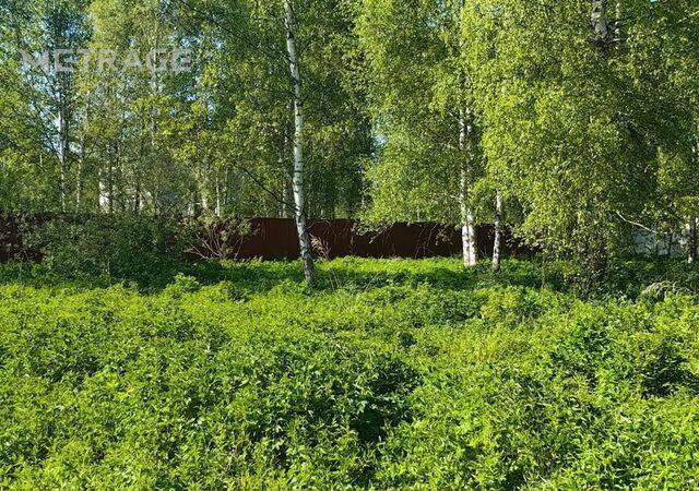 направление Курское (юг) ш Варшавское 45 км, р-н Бекасово, 321, Москва, п Киевский, Киевский, Троицкий административный округ, СНТ Мачихино фото