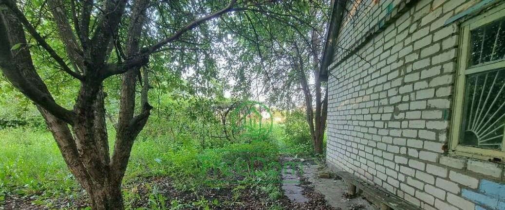 земля р-н Яковлевский г Строитель ул Белгородская фото 3