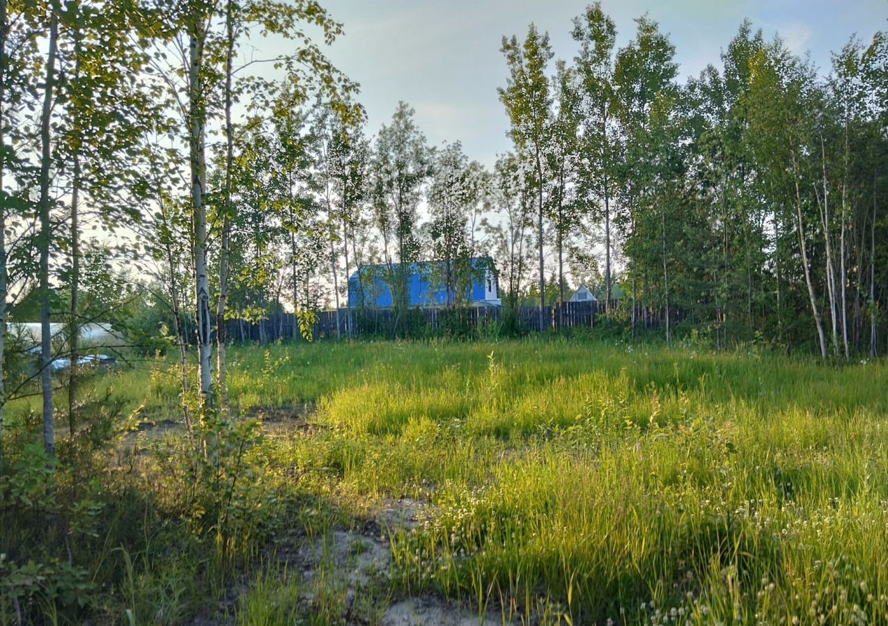 земля г Нижневартовск снт Голубое озеро Тюменская обл., садово-огородническое некоммерческое товарищество фото 2