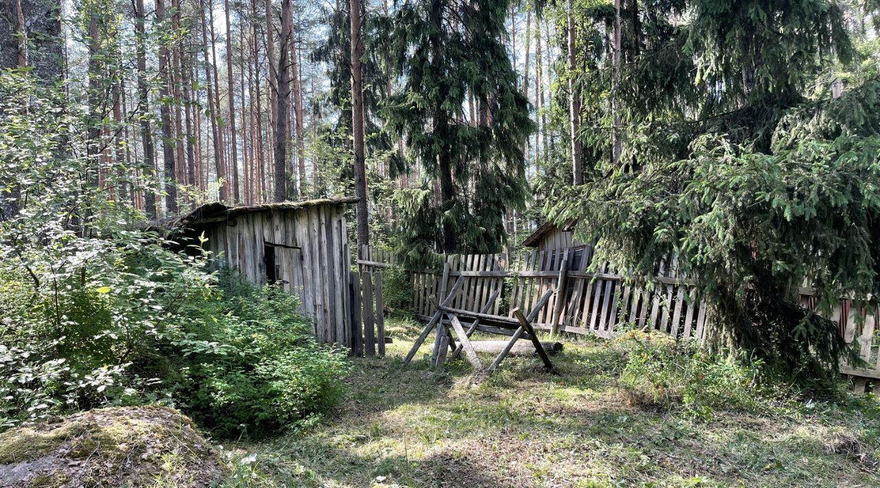 дом р-н Выборгский г Выборг Петербургский фото 10