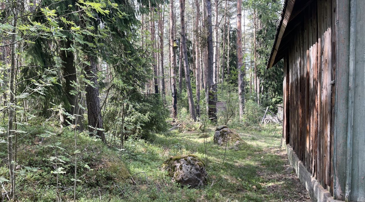 дом р-н Выборгский г Выборг Петербургский фото 5