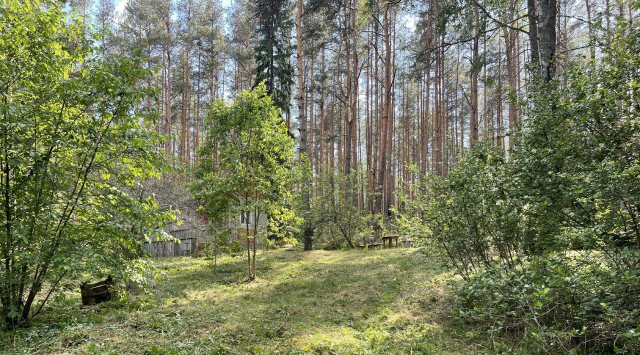 дом р-н Выборгский г Выборг Петербургский фото 12