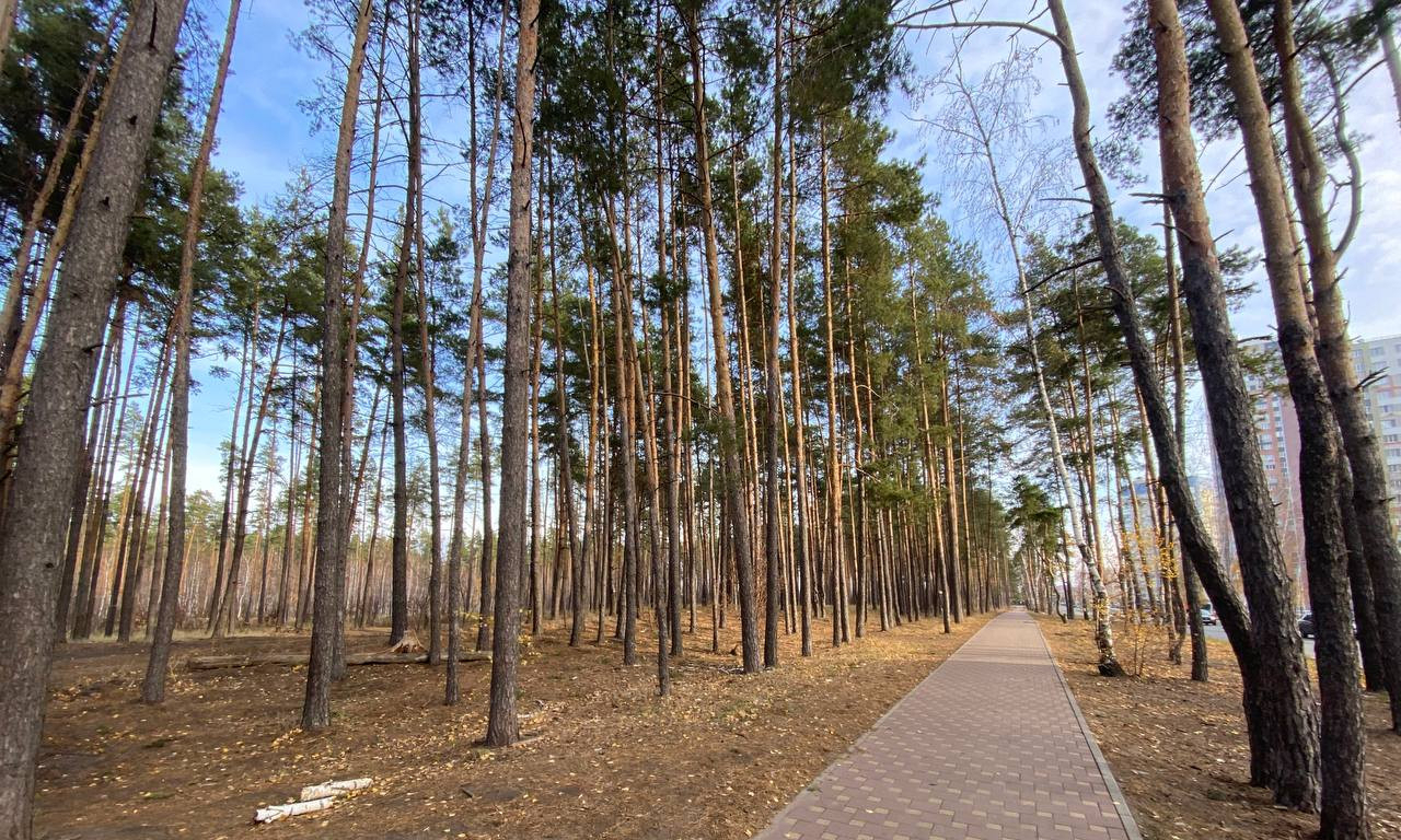 квартира г Воронеж р-н Железнодорожный ул Федора Тютчева 97 Боровое фото 14