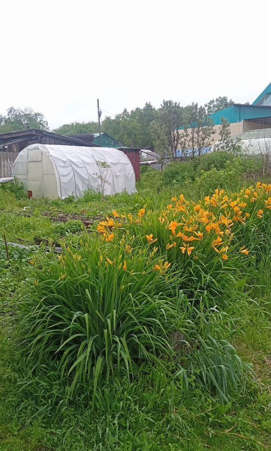 дом г Елизово мкр Пограничный ул Механизации 3 Елизовское городское поселение фото 5