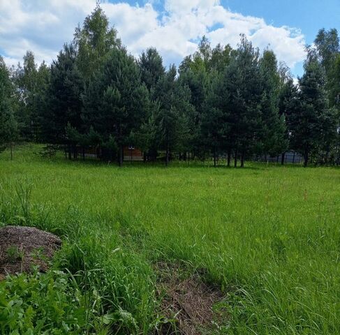 ул Лесная Шатура фото