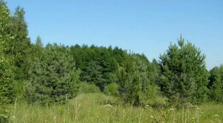земля г Кировград п Тепловая ул Свердлова Кировградский муниципальный округ фото 1