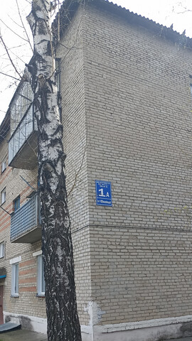 пр-кт Юбилейный 1а фото