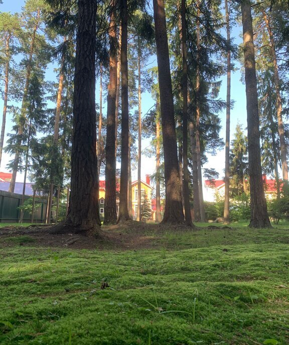 дом г Пушкино р-н мкр Чистые пруды-2 аллея, Ростокино, Лесная фото 10