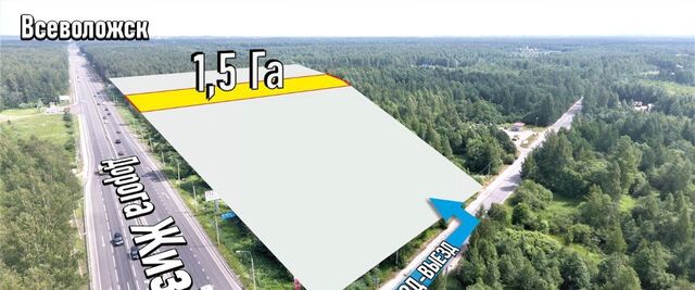 офис метро Ладожская ш Рябовское 147з фото