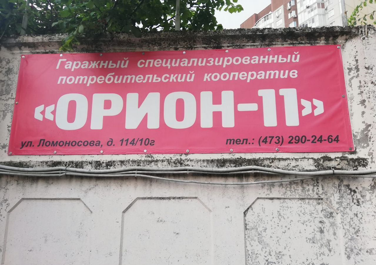 гараж г Воронеж р-н Центральный ул Ломоносова 114/10г фото 1