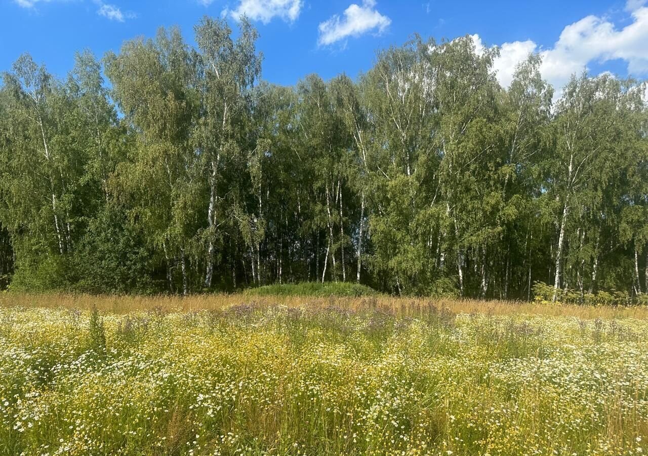 земля г Домодедово с Юсупово 36 км, КП Васнецово, 230, Троицкое, Новокаширское шоссе фото 3