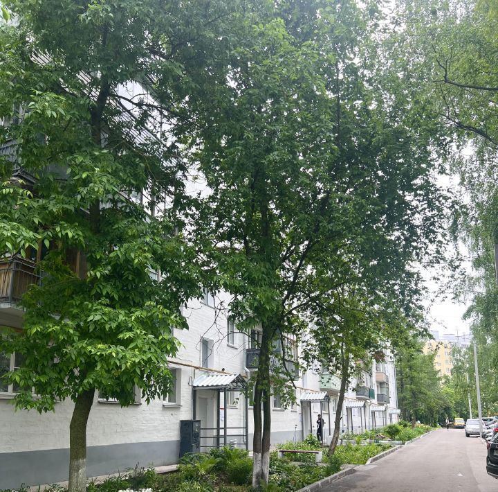 квартира г Киров р-н Ленинский ул Ленина 183 фото 14