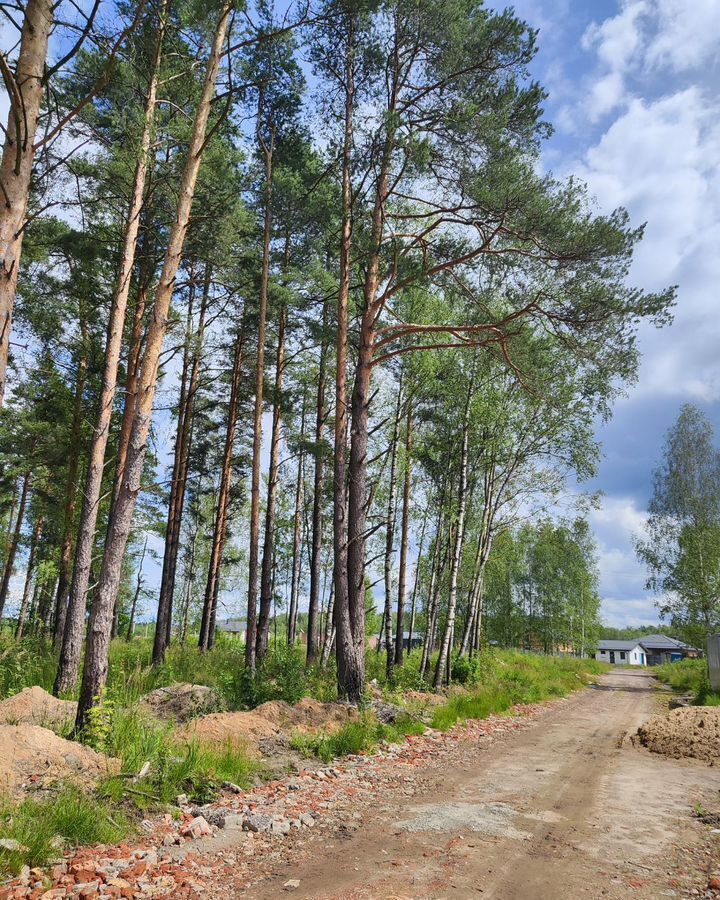 земля городской округ Богородский г Ногинск 37 км, д. Пешково, Горьковское шоссе фото 3