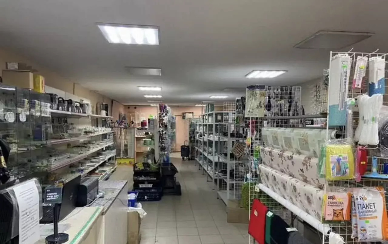 свободного назначения г Великий Новгород Западный ул Свободы 10/5 фото 3
