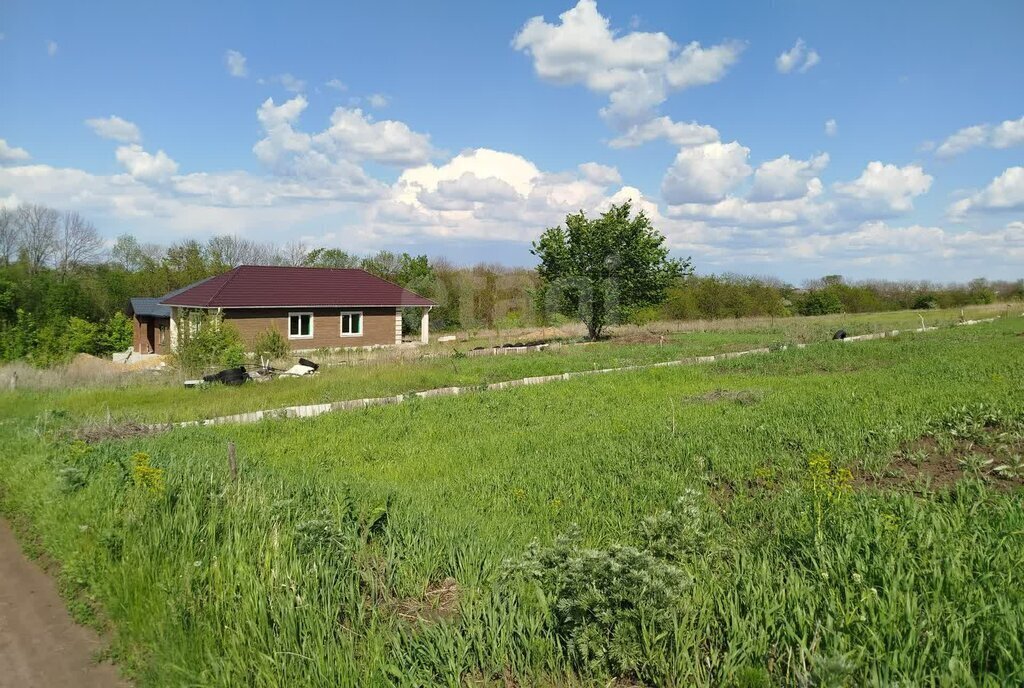земля г Белгород дачный поселок Лимонник фото 5
