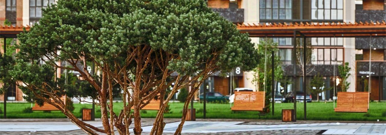квартира г Краснодар р-н Прикубанский ЖК Образцово фото 12