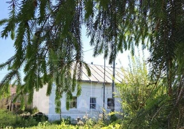 ул Социалистическая 26 Мичуринский муниципальный округ фото