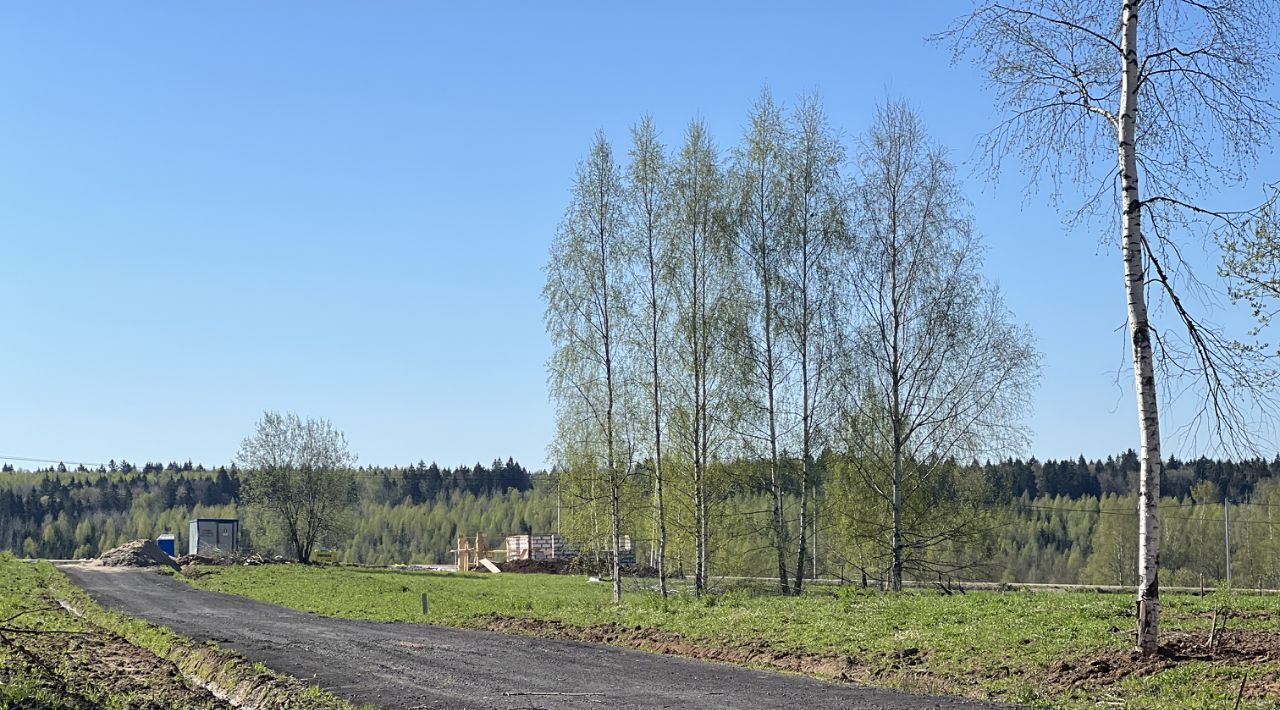земля городской округ Сергиево-Посадский г Краснозаводск «Холмогоры» фото 6