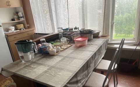 квартира г Колпино ул Загородная 62 р-н Колпинский фото 16