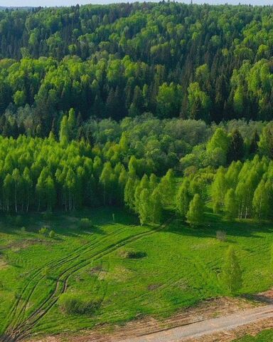 40 км, 8, д. Семенково, Рогачёвское шоссе фото