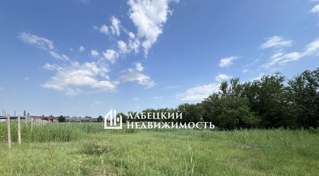 земля туп Черноморский 6 фото