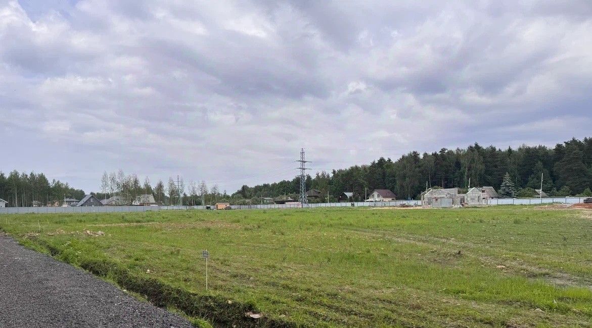 земля городской округ Богородский г Ногинск фото 40