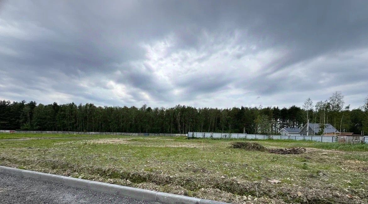 земля городской округ Богородский г Ногинск фото 48