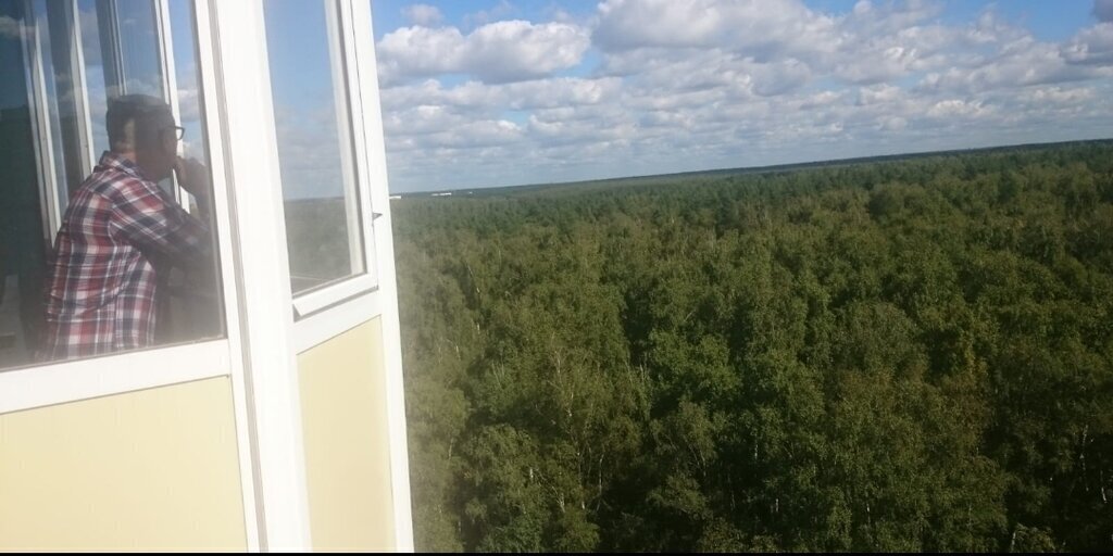 квартира г Домодедово мкр Южный ул Курыжова 1к/2 микрорайон «Новое Домодедово» фото 2