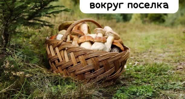 земля г Клин коттеджный посёлок Подсолнухи фото 4