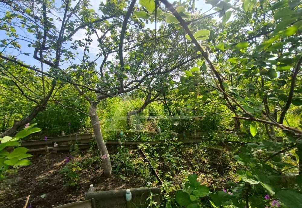 земля г Кисловодск ул Чапаева фото 1