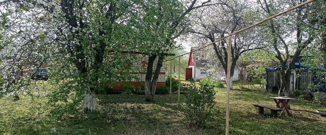 ул Свободы 31 Борисоглебск фото