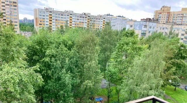 квартира г Санкт-Петербург метро Ленинский Проспект пр-кт Кузнецова 29к/3 фото 3