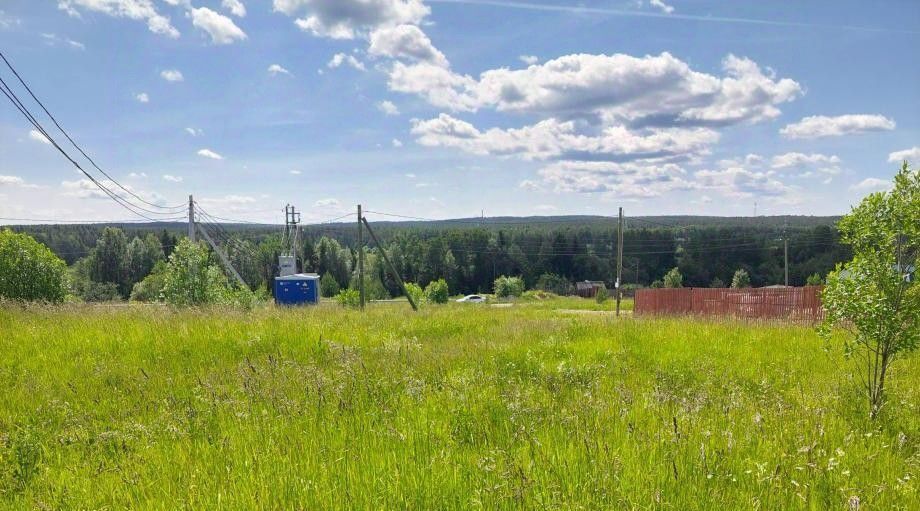 земля г Соликамск ул Мира 84 с. Городище фото 3
