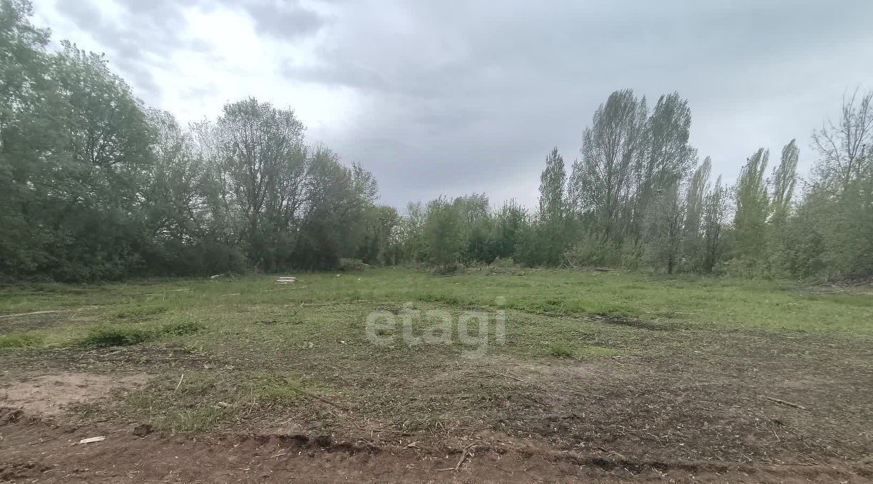 земля г Балашов фото 3