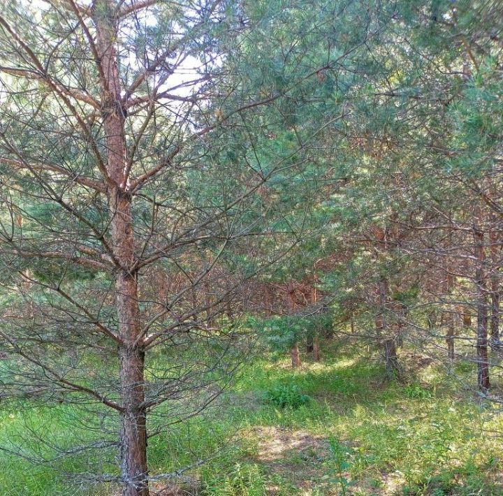 земля г Нижний Новгород Пролетарская пер 1-й Кемеровский фото 9
