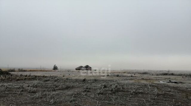Моковский сельсовет фото