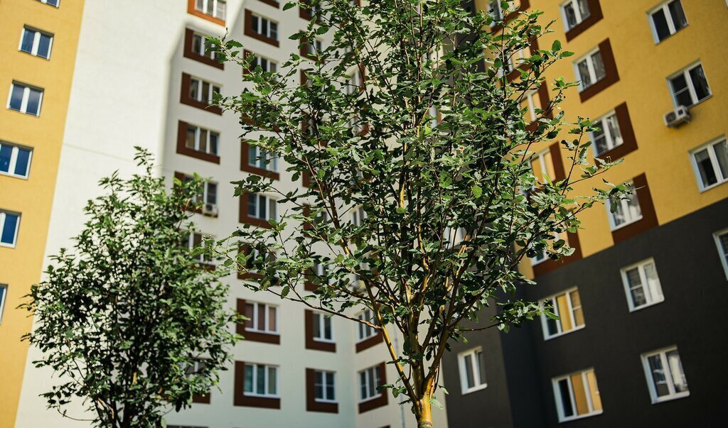 квартира г Курск пр-кт Надежды Плевицкой 11а фото 4