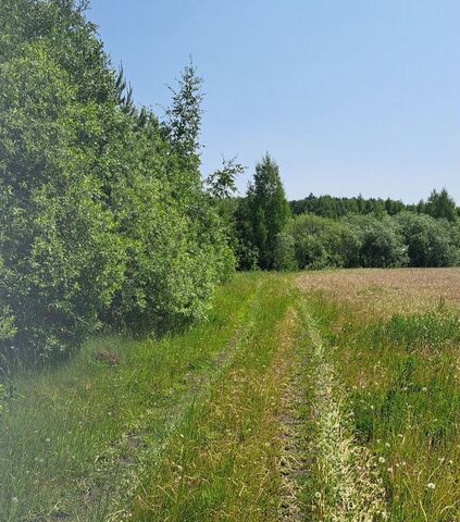 д Курманка Белоярский фото