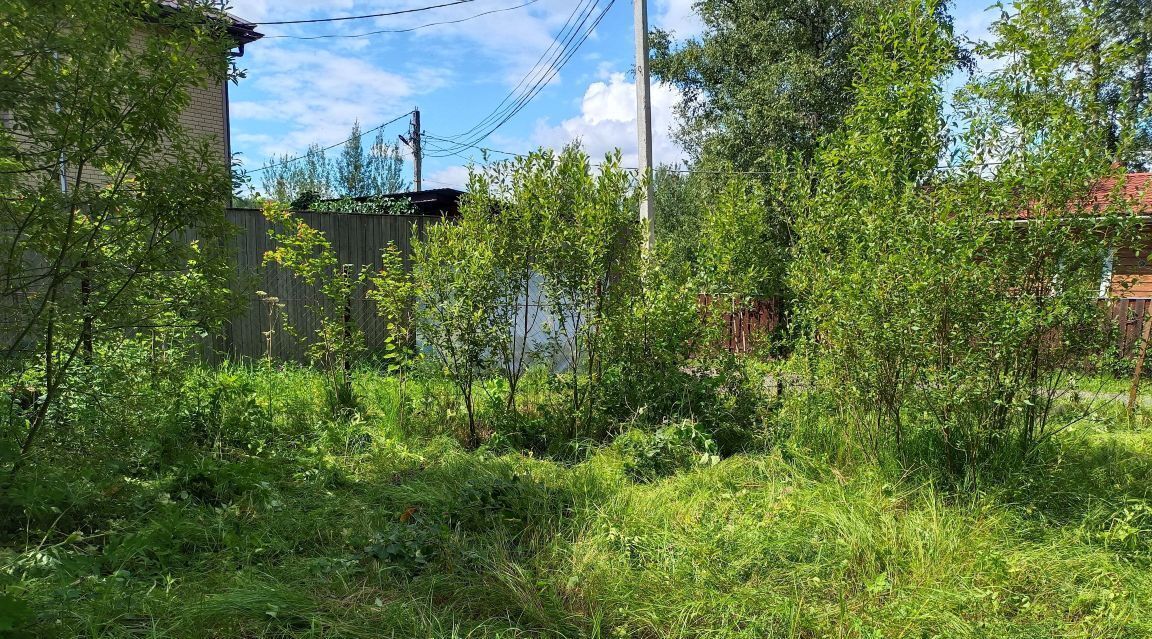 земля г Красногорск Бор садовое товарищество, Аникеевка фото 2