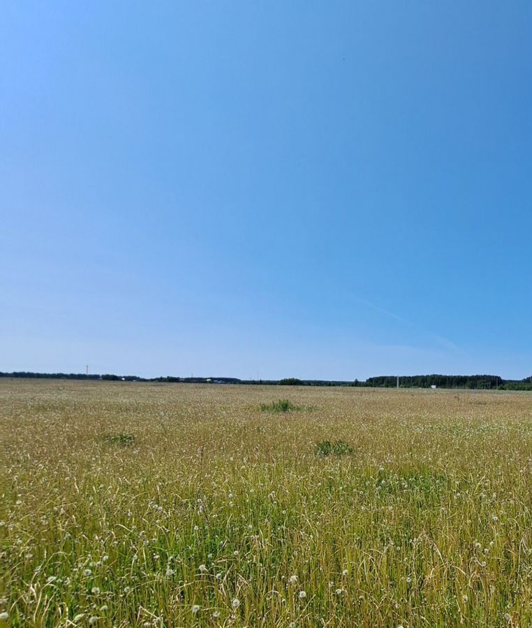 земля г Заречный д Курманка Белоярский фото 5