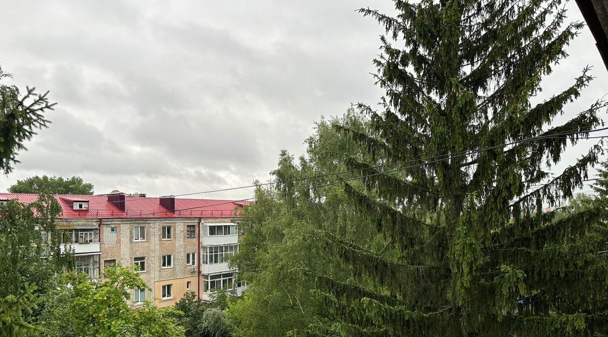 квартира г Брянск р-н Советский ул Фокина 66 фото 16