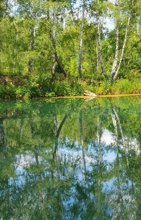 земля г Кашира п Большое Руново ул Центральная фото 6