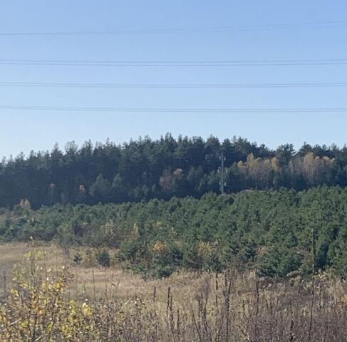 земля д Криуша 62А, Авчурино с пос фото земля д Криуша 62А, Авчурино с пос фото