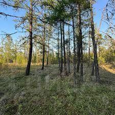 р-н Туапсинский с Подхребтовое ул Речная 13 Новомихайловский кп фото