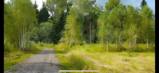 снт терМеждународник 99а Наро-Фоминск фото