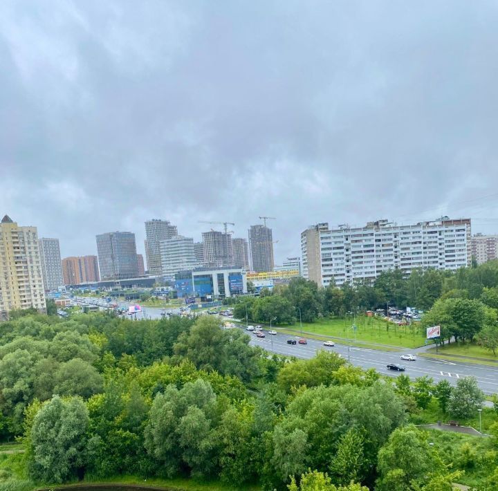 квартира г Москва метро Озерная пр-кт Мичуринский пр-кт Олимпийский 25 деревня фото 1