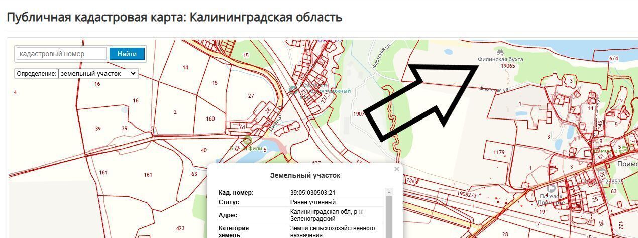 земля р-н Зеленоградский г Зеленоградск фото 3