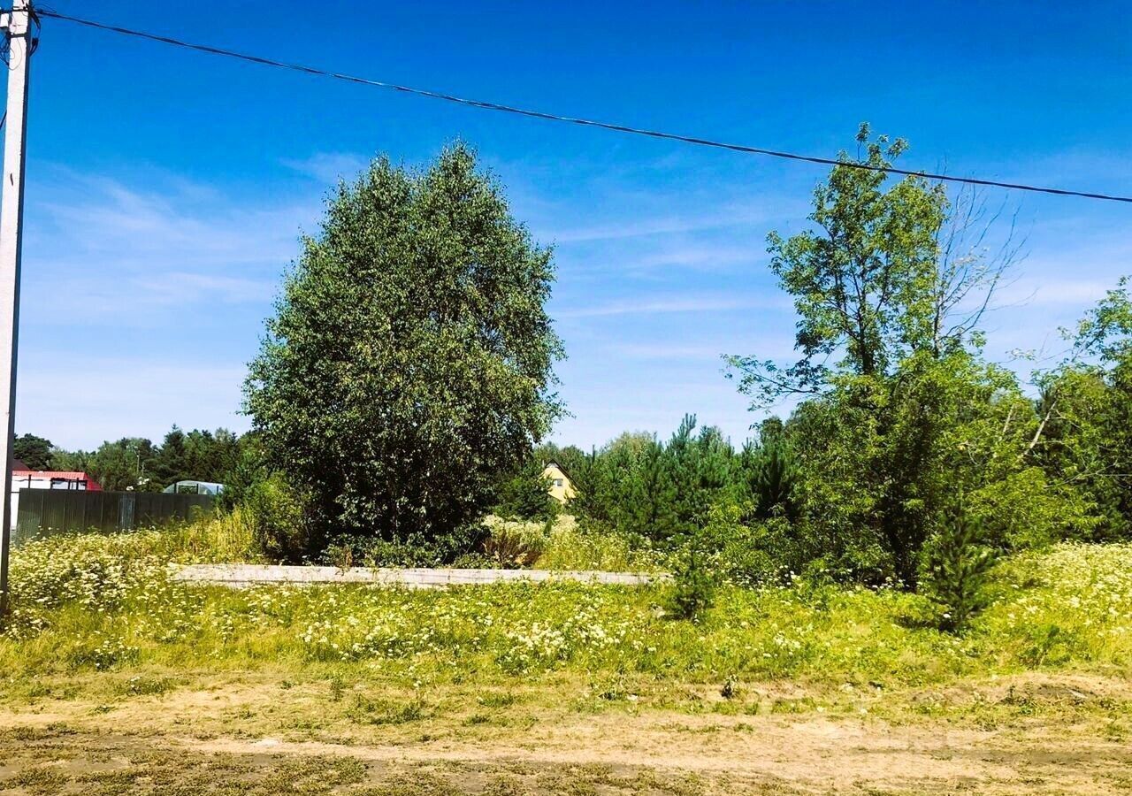 земля г Чехов д Детково 40 км, городской округ Чехов, Столбовая, Симферопольское шоссе фото 1